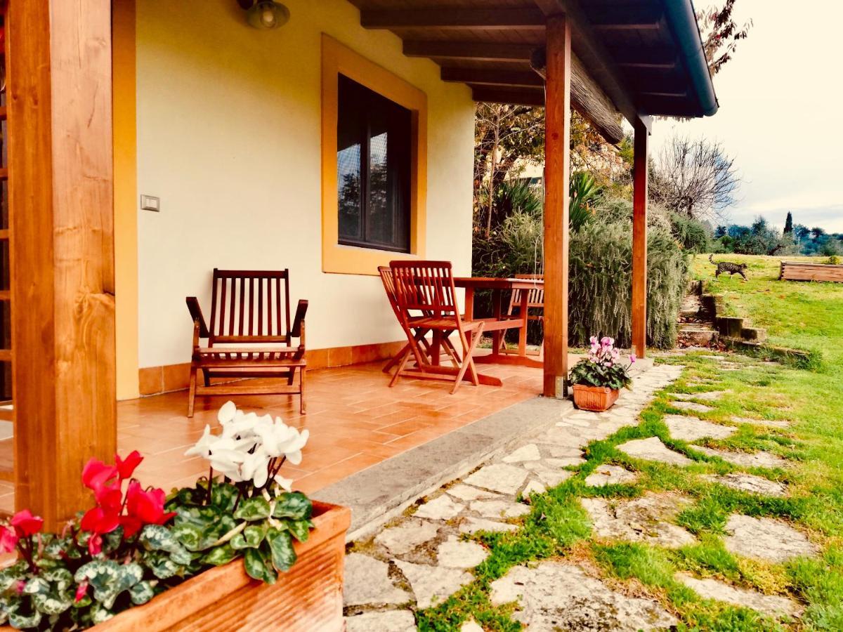 La Casa Nettarina Konuk evi Poggio Mirteto Dış mekan fotoğraf